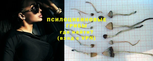 марки nbome Гусь-Хрустальный