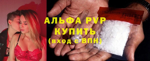 гидра Гусев