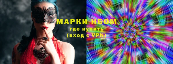 гидра Гусев