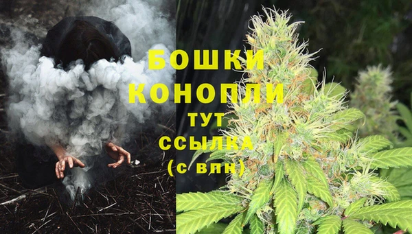 Альфа ПВП Гусиноозёрск