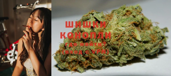 гидра Гусев