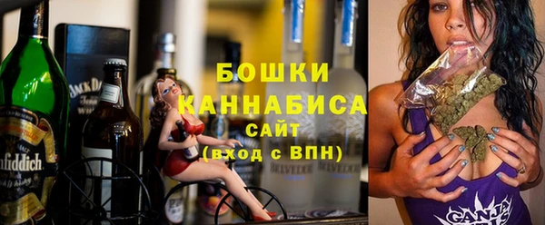 Альфа ПВП Гусиноозёрск