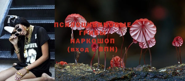 Альфа ПВП Гусиноозёрск