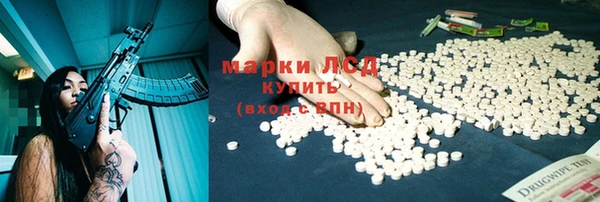 гидра Гусев