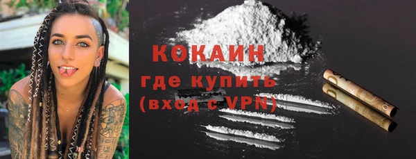 гидра Гусев