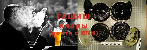 гидра Гусев