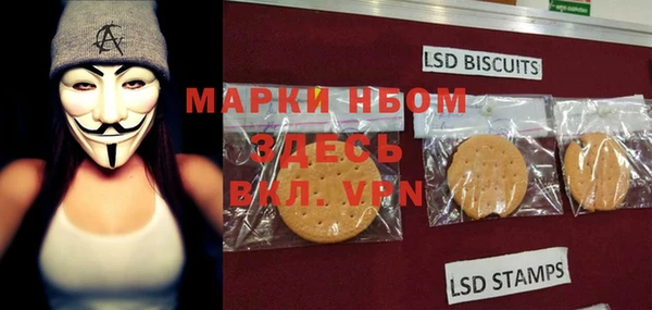 гидра Гусев